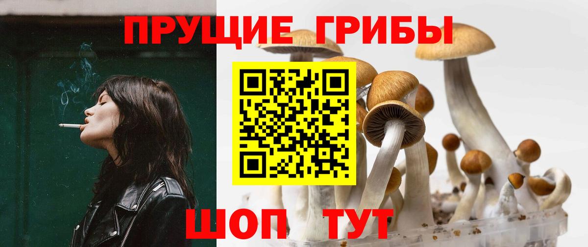 Прохладный  Псилоцибиновые грибы Cubensis  Псилоцибиновые грибы ЛСД  Вход с VPN 